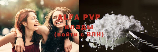 шишки Лабытнанги
