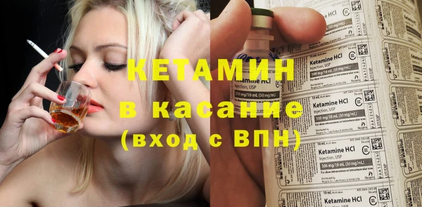 шишки Лабытнанги