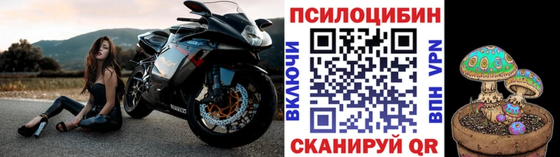 как найти наркотики  Ноябрьск  omg   Галлюциногенные грибы мухоморы 